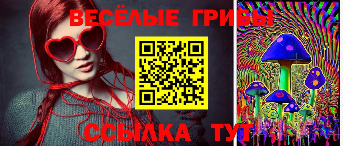 как найти   Вход с VPN  Гусев  Псилоцибиновые грибы прущие грибы  Галлюциногенные грибы прущие грибы 